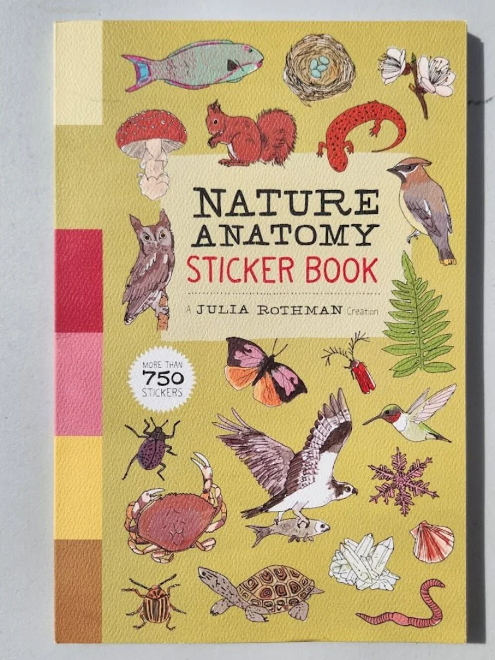 Nature Anatomy Sticker Book Julia Rothman 750 Stickers birds, feathers, wildflow